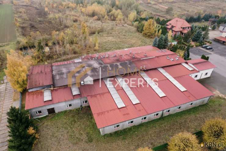 , Korsze, ul. Wolności, Działki  na sprzedaż