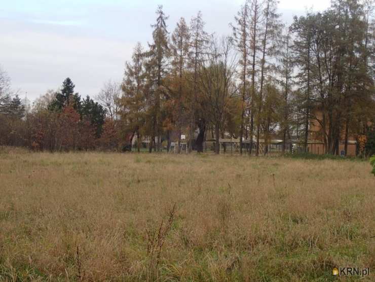 Działki  na sprzedaż, Ochaby Małe, ul. , 