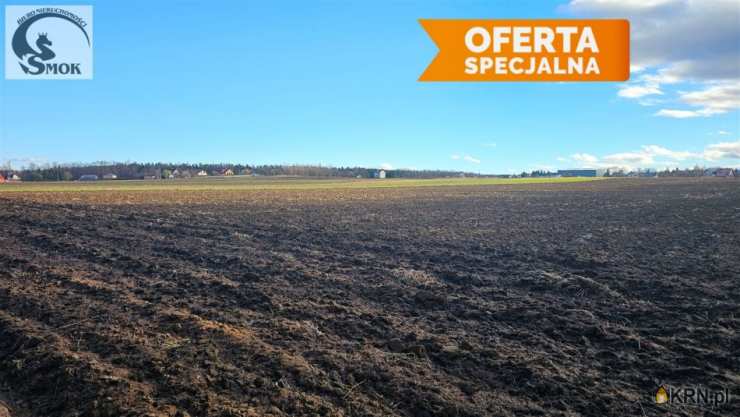 Działki  na sprzedaż, Poskwitów, ul. , 