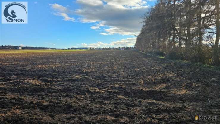 Działki  na sprzedaż, , Poskwitów, ul. 