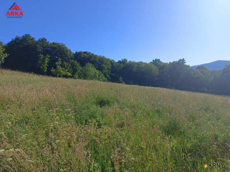 Sadek, ul. , Działki  na sprzedaż, 