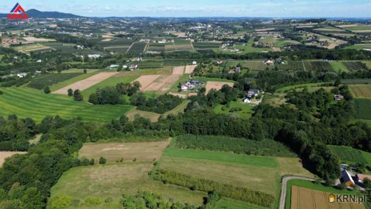 Sadek, ul. , Działki  na sprzedaż, 