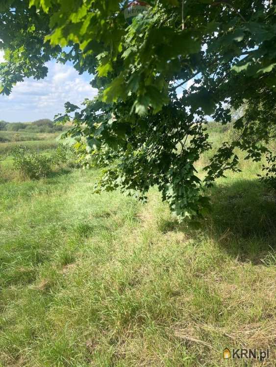 Przezmark, ul. , Działki  na sprzedaż, 