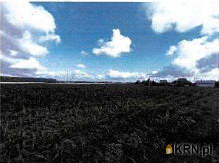 Działki  na sprzedaż, Zalesie, ul. , 