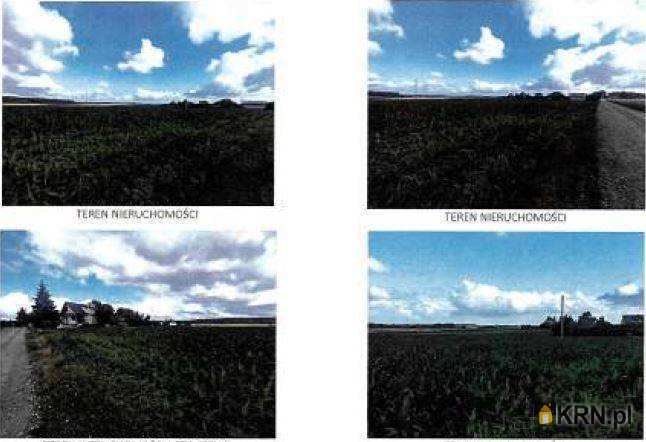 , Działki  na sprzedaż, Zalesie, ul. 