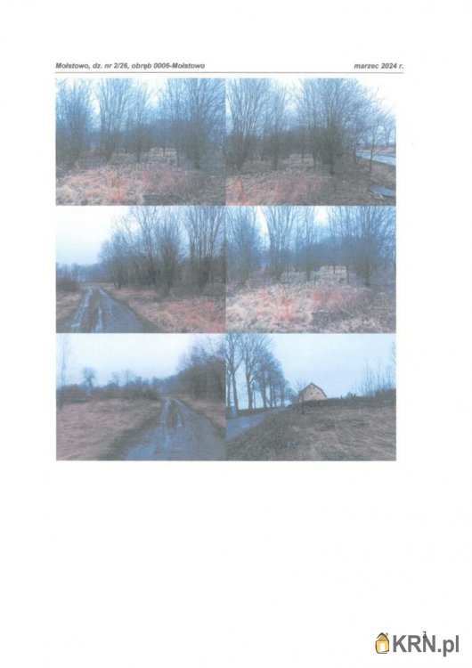 Działki  na sprzedaż, Mołstowo, ul. , 