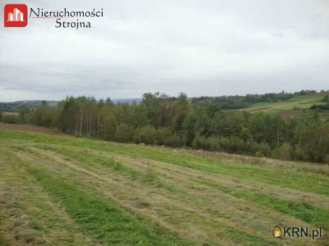 Działki  na sprzedaż, Kwapinka, ul. , 