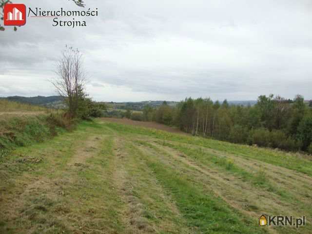 Działki  na sprzedaż, , Kwapinka, ul. 