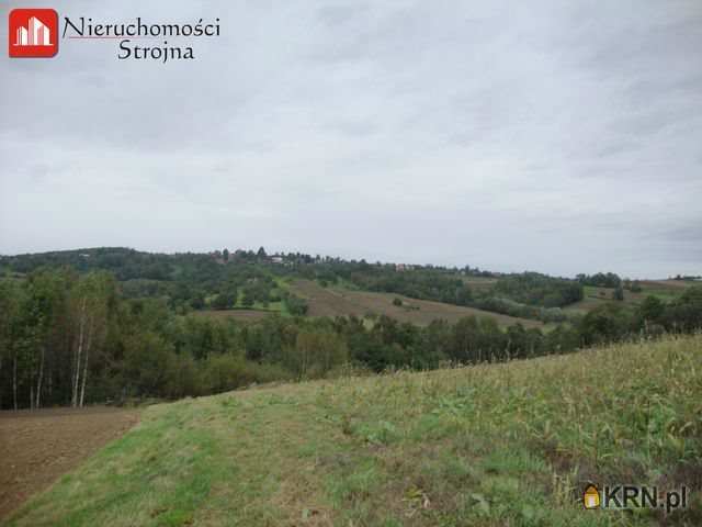 Nieruchomości Strojna, Działki  na sprzedaż, Kwapinka, ul. 