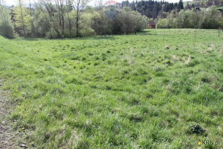 Działki  na sprzedaż, Skomielna Biała, ul. , 