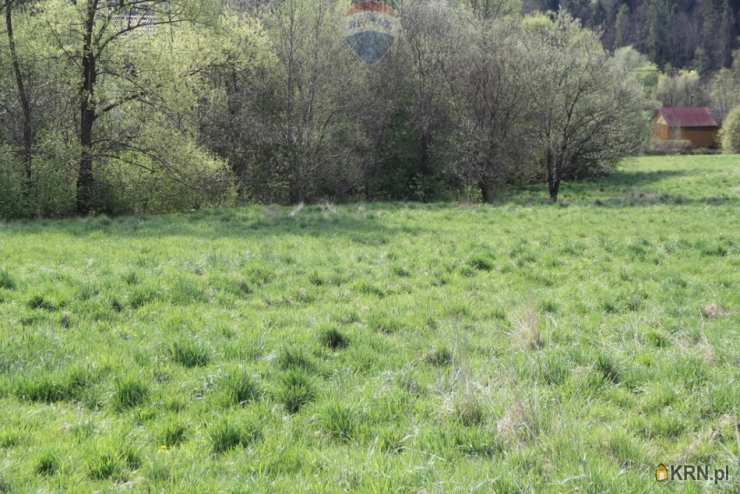 Skomielna Biała, ul. , Działki  na sprzedaż, 