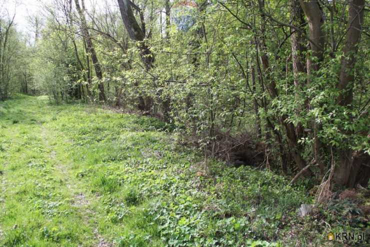 Skomielna Biała, ul. , , Działki  na sprzedaż