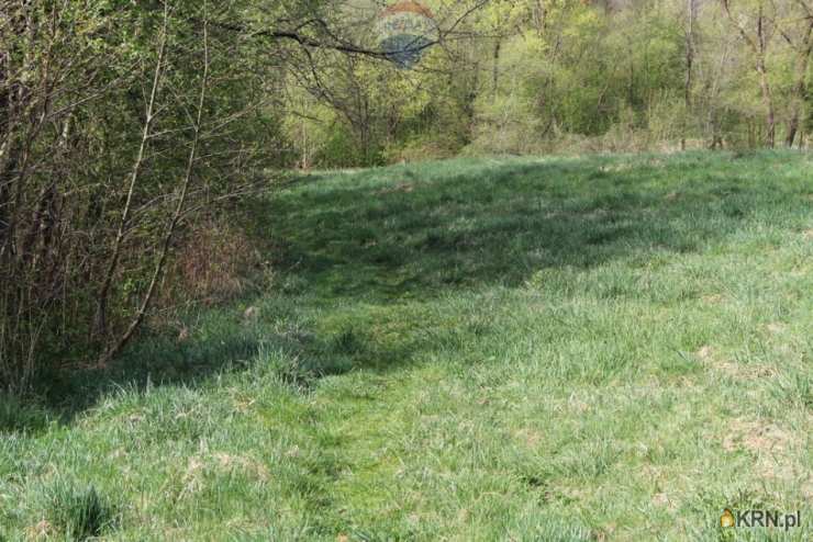 RE/MAX Polska, Działki  na sprzedaż, Skomielna Biała, ul. 