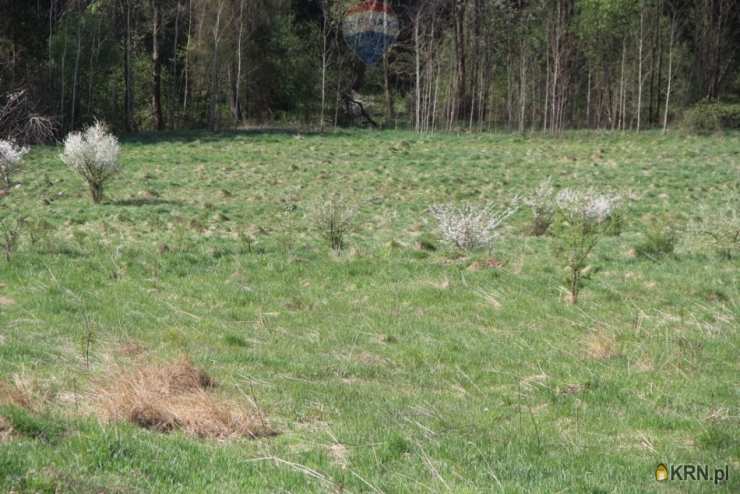 Działki  na sprzedaż, , Skomielna Biała, ul. 