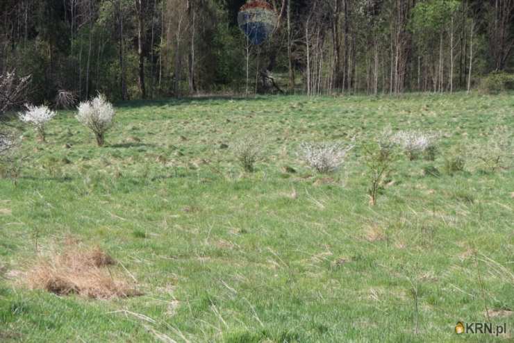 Skomielna Biała, ul. , Działki  na sprzedaż, 