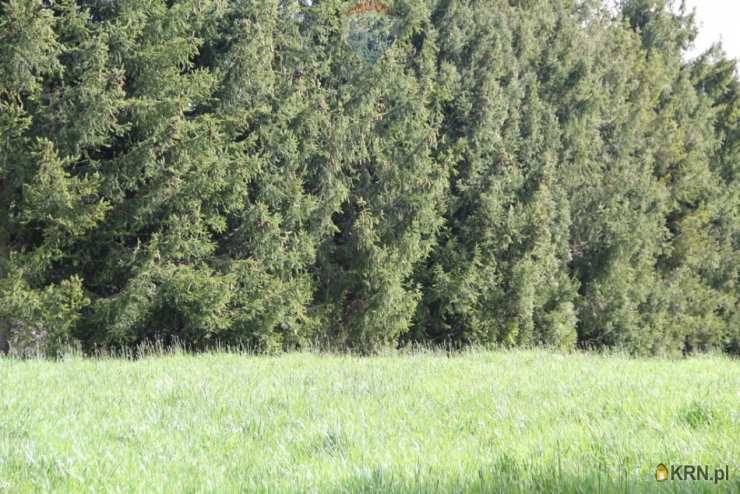 , Skomielna Biała, ul. , Działki  na sprzedaż