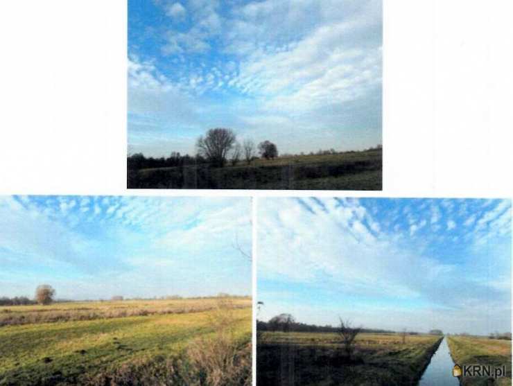 Nowe Wymyśle, ul. , Działki  na sprzedaż, 