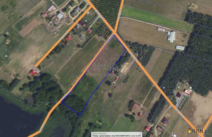 Kocerany, ul. , , Działki  na sprzedaż