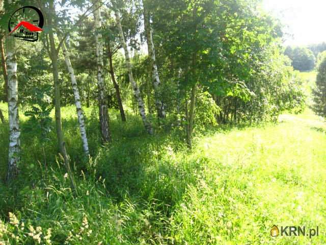 Czas Nieruchomości, Działki  na sprzedaż, Korzecznik, ul. 