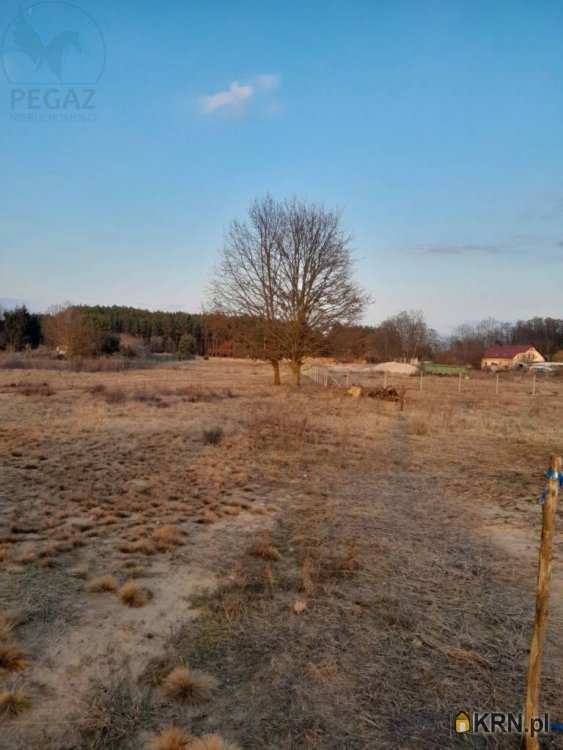 Działki  na sprzedaż, , Trzciel, ul. 