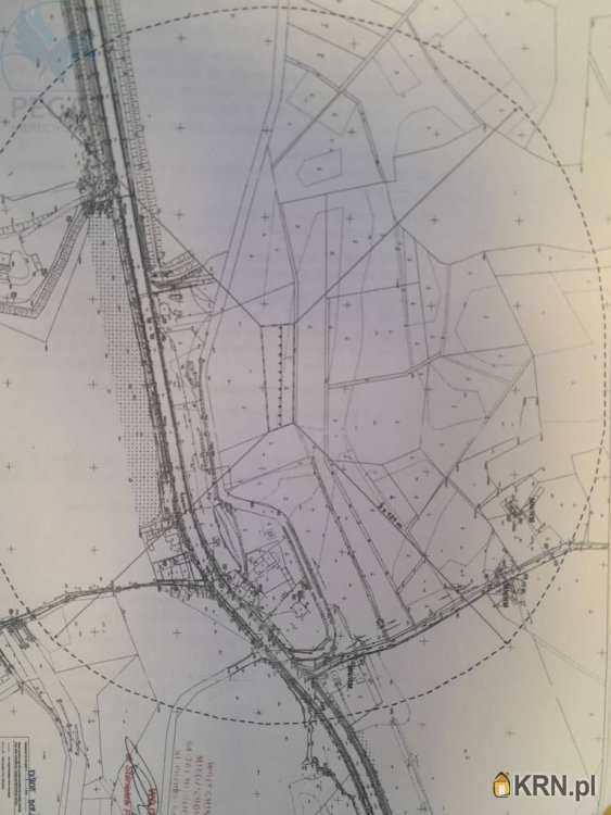 Pegaz Nieruchomości, Działki  na sprzedaż, Trzciel, ul. 