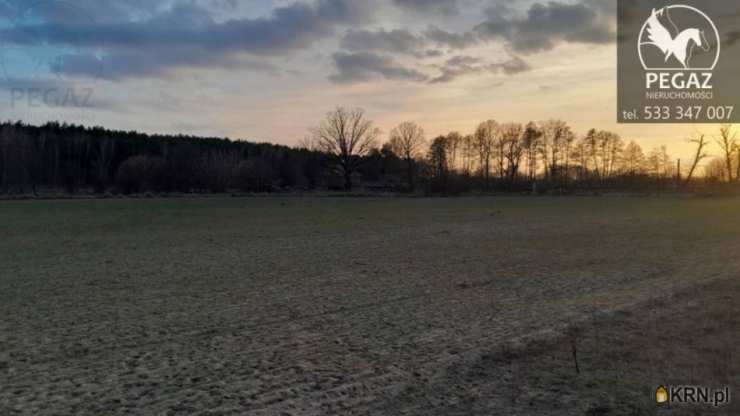Działki  na sprzedaż, Trzciel, ul. , 