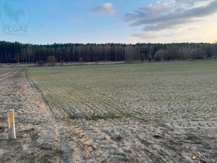 Działki  na sprzedaż, , Trzciel, ul. 