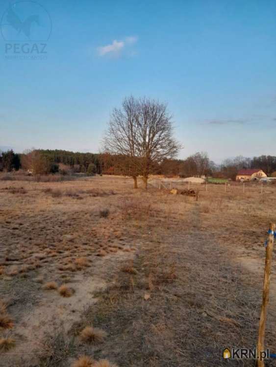 Trzciel, ul. , Działki  na sprzedaż, 