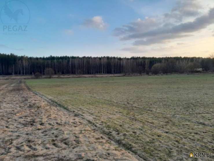 Trzciel, ul. , , Działki  na sprzedaż