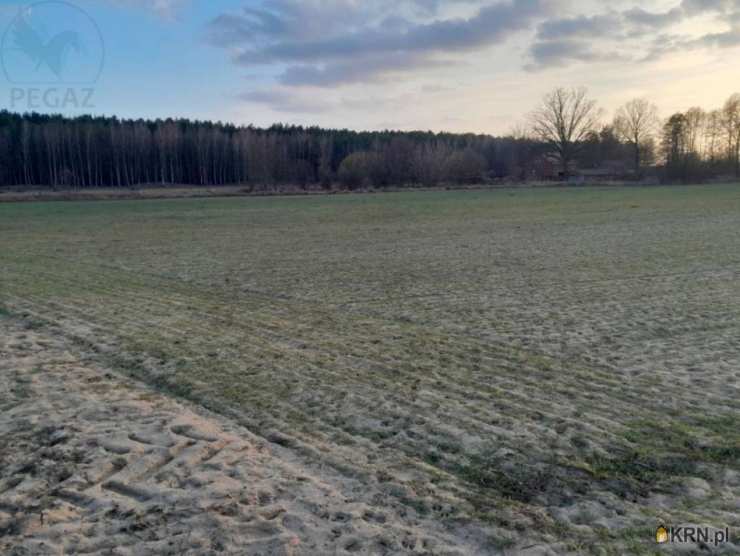 , Trzciel, ul. , Działki  na sprzedaż