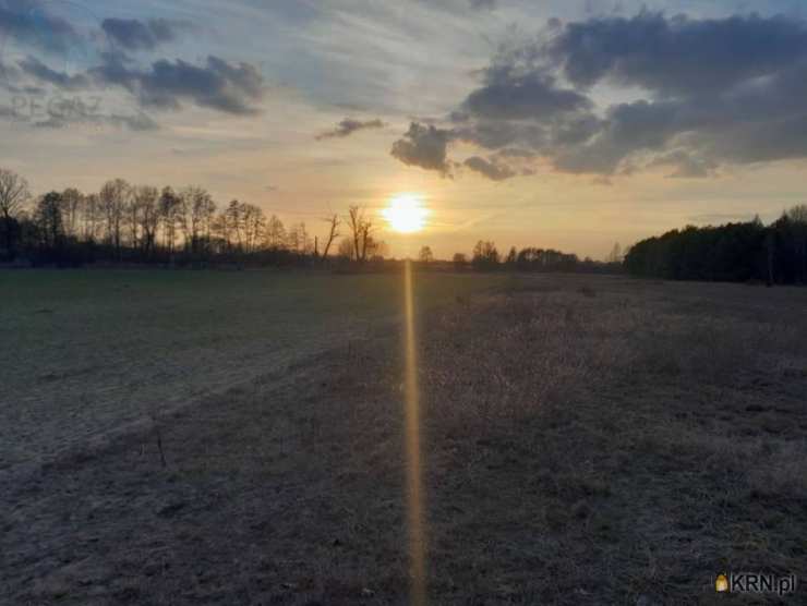 , Działki  na sprzedaż, Trzciel, ul. 