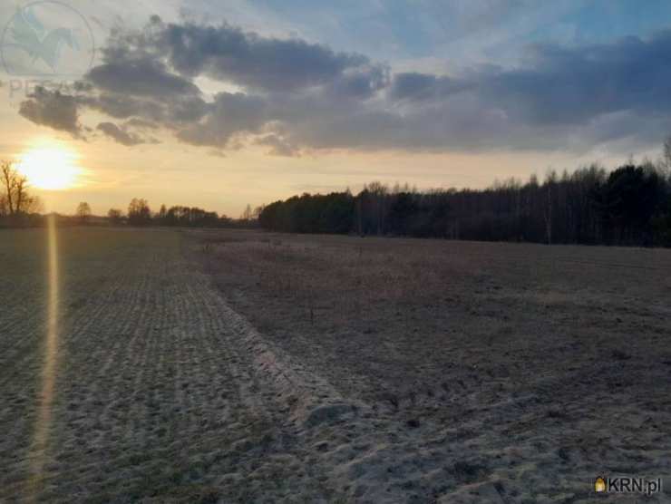 Pegaz Nieruchomości, Działki  na sprzedaż, Trzciel, ul. 