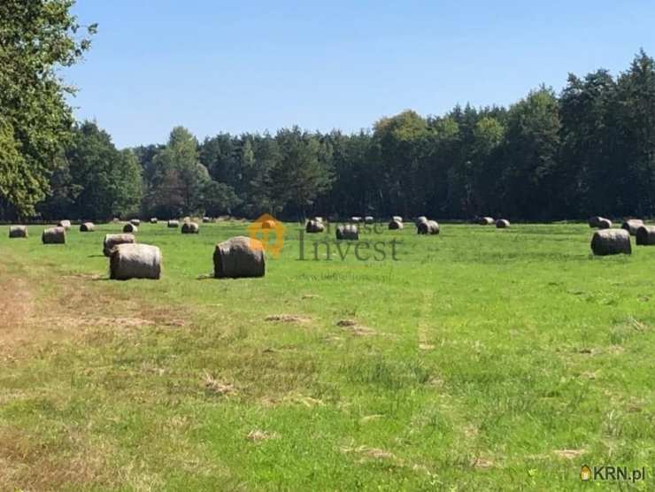 , Chocianów, ul. , Działki  na sprzedaż