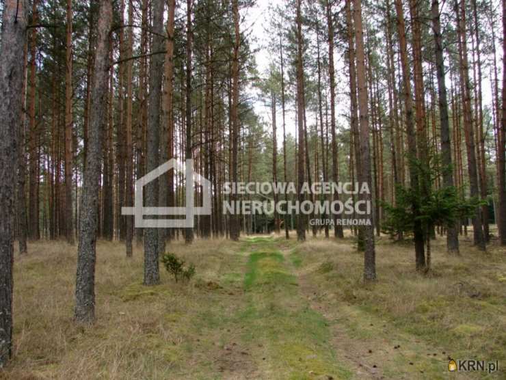 Działki  na sprzedaż, , Małe Chełmy, ul. 