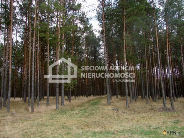 , Działki  na sprzedaż, Małe Chełmy, ul. 