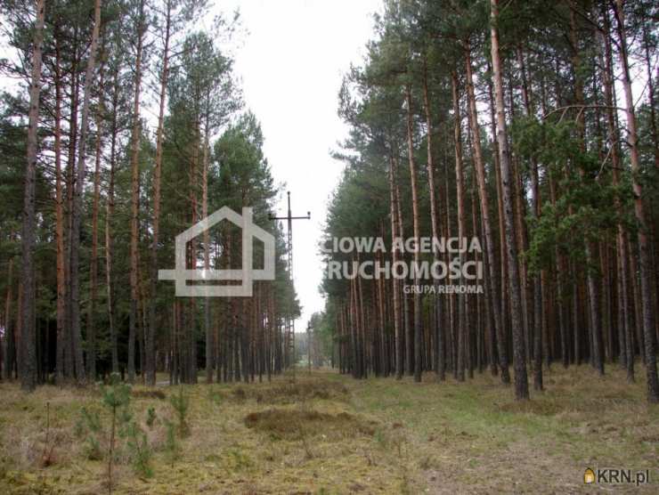 Sieciowa Agencja Nieruchomości Grupa Renoma, Działki  na sprzedaż, Małe Chełmy, ul. 