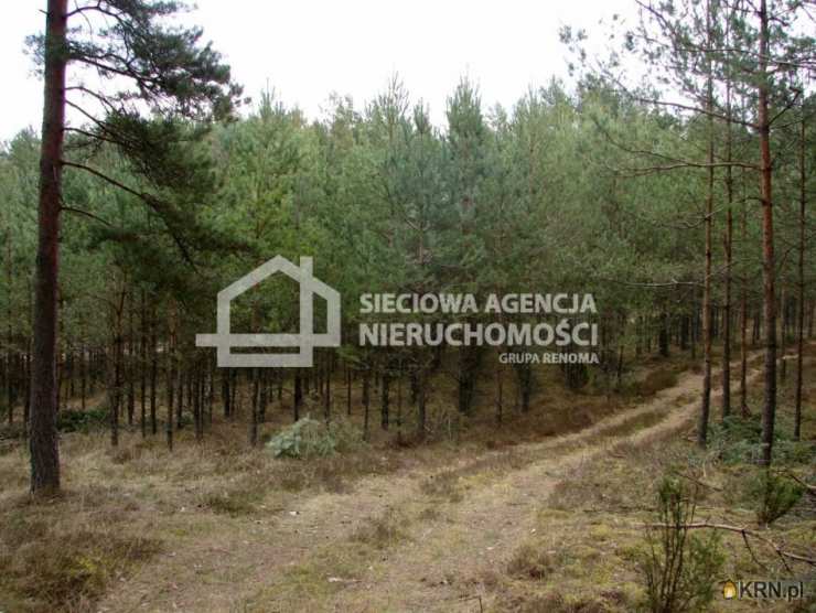 Małe Chełmy, ul. , , Działki  na sprzedaż