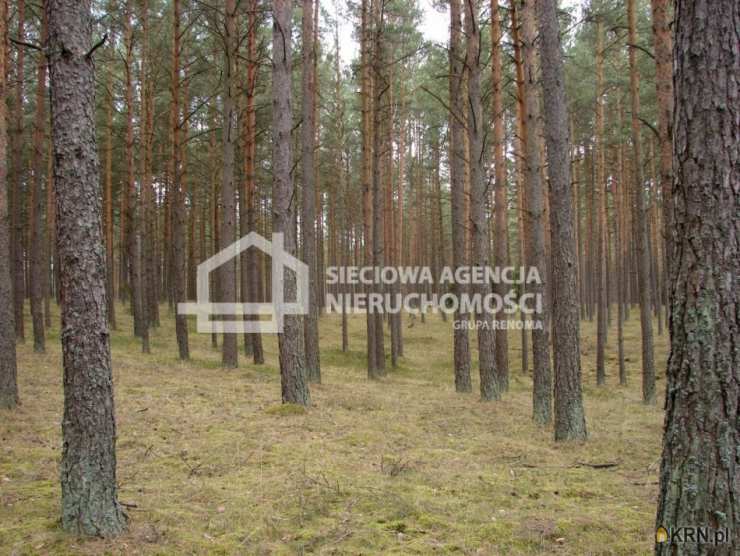 Sieciowa Agencja Nieruchomości Grupa Renoma, Działki  na sprzedaż, Małe Chełmy, ul. 