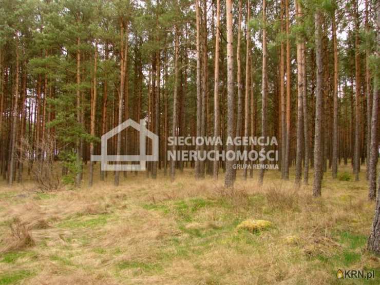 Działki  na sprzedaż, Małe Chełmy, ul. , 