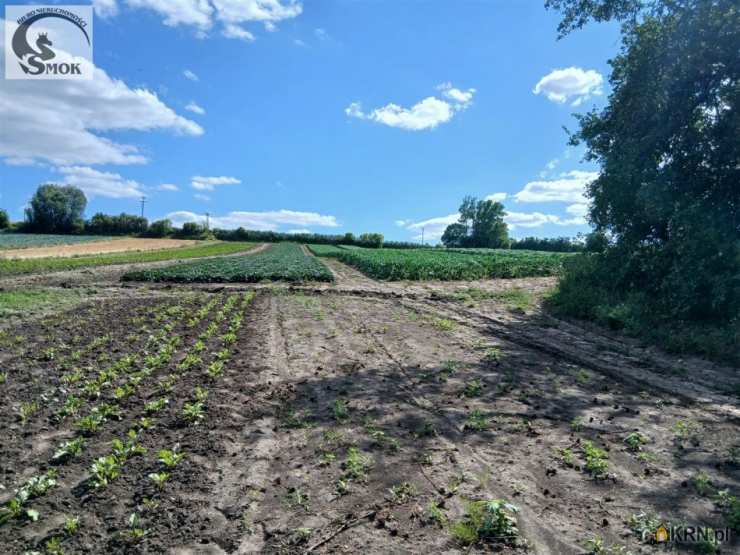 Polekarcice, ul. , Działki  na sprzedaż, 