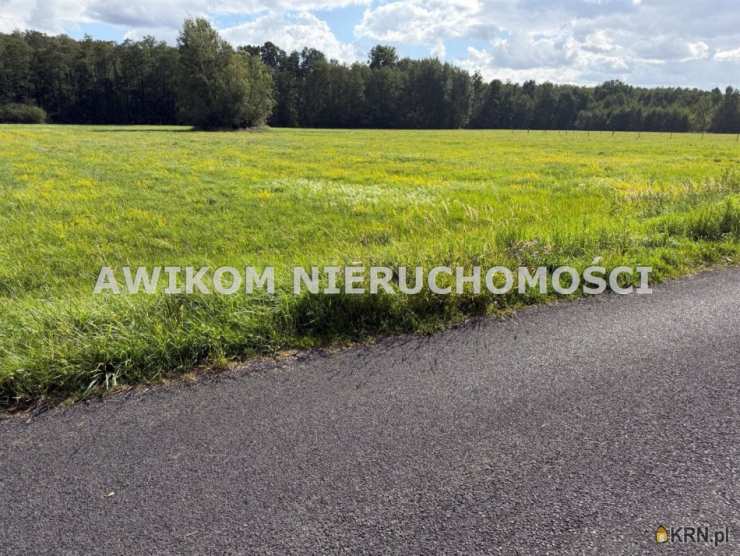 Radziejowice, ul. , Działki  na sprzedaż, 