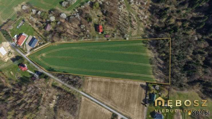 Działki  na sprzedaż, , Raciechowice, ul. 