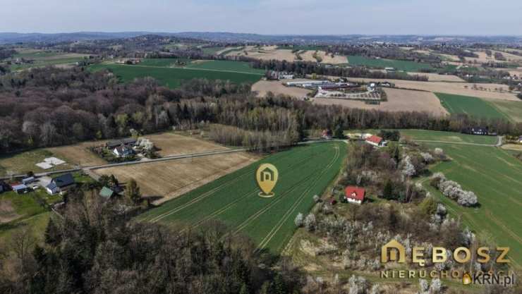 Działki  na sprzedaż, Raciechowice, ul. , 