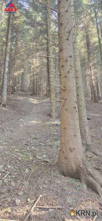 Działki  na sprzedaż, Konina, ul. , 