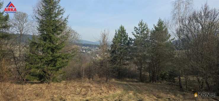 Kasina Wielka, ul. , Działki  na sprzedaż, 