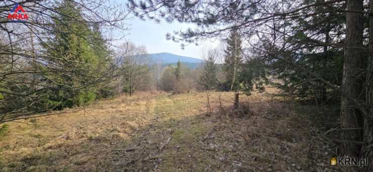 Kasina Wielka, ul. , , Działki  na sprzedaż