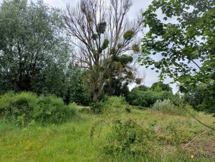 , Malbork, ul. , Działki  na sprzedaż