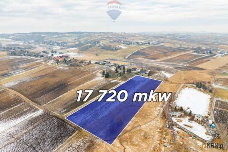 , Działki  na sprzedaż, Pietrzejowice, ul. 