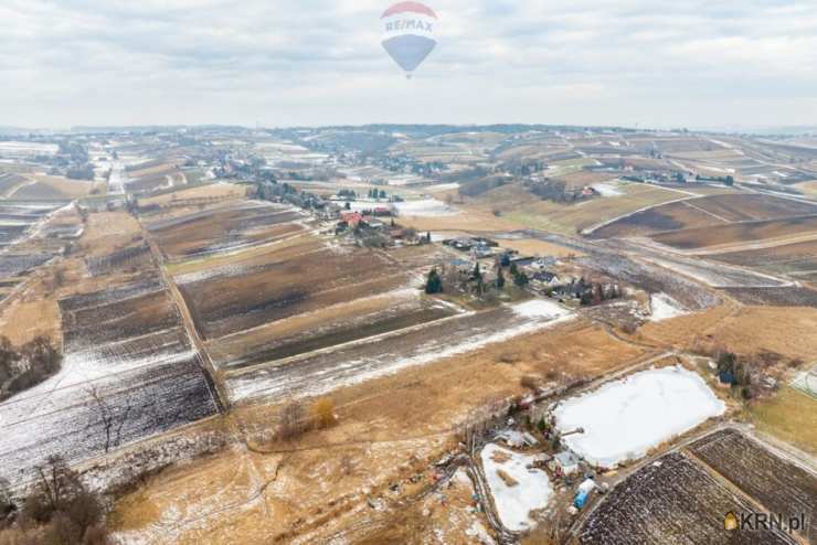 Działki  na sprzedaż, Pietrzejowice, ul. , 