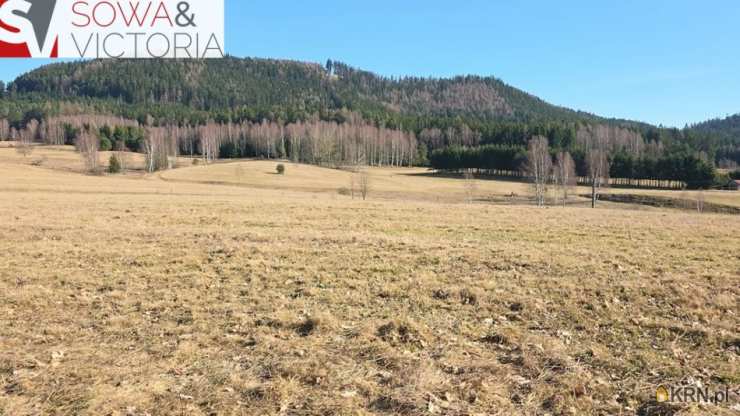 Działki  na sprzedaż, , Chełmsko Śląskie, ul. 